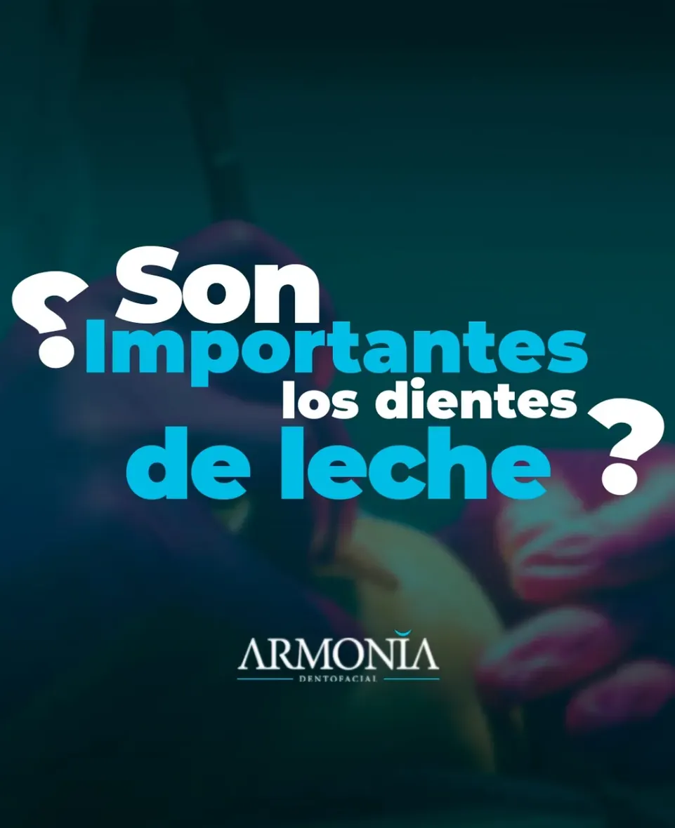 Contenido educativo 22
